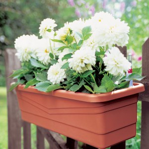 Flora Premium / Fiskars